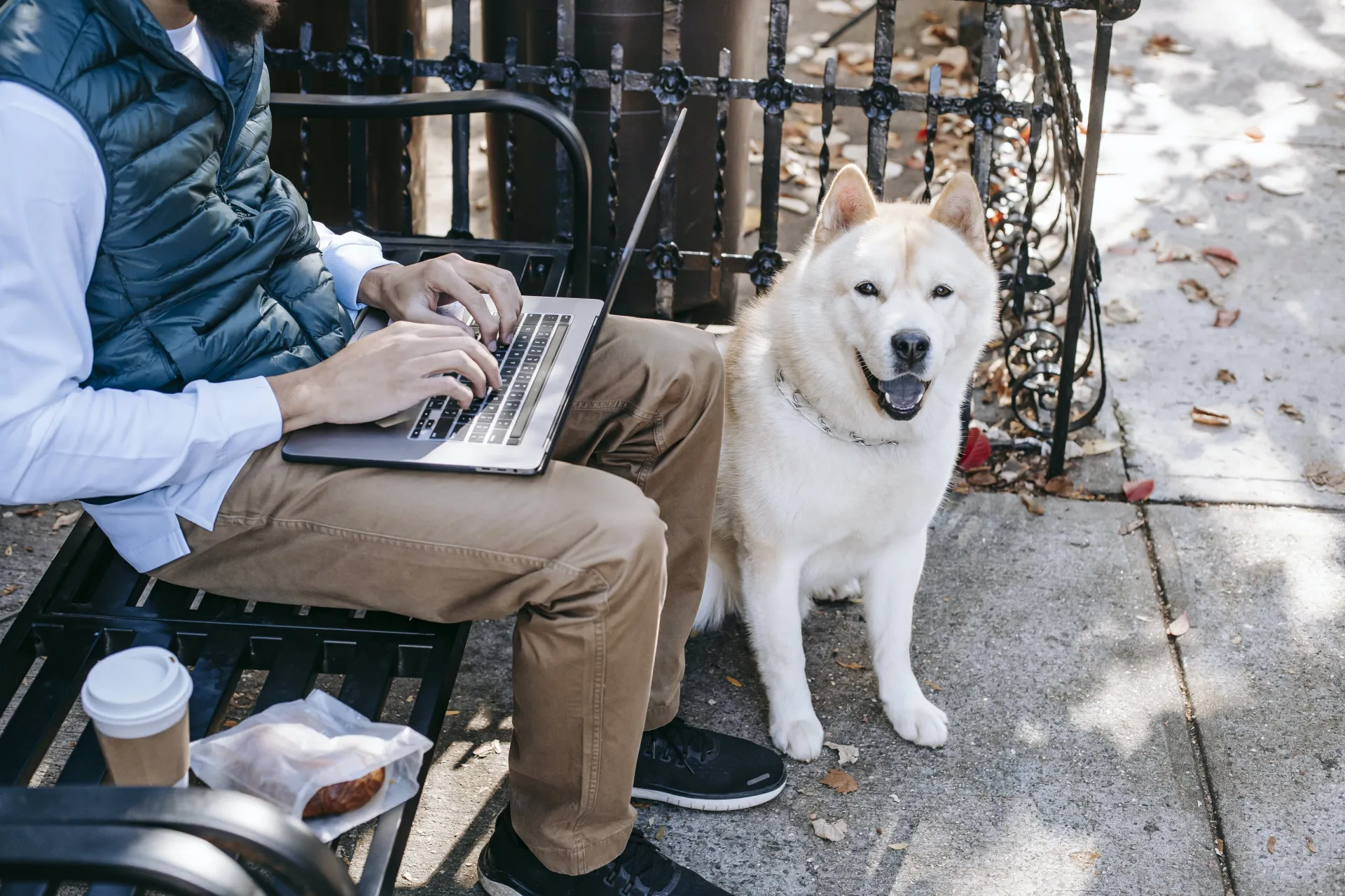 Akita Inu sitting near man freelancer on street