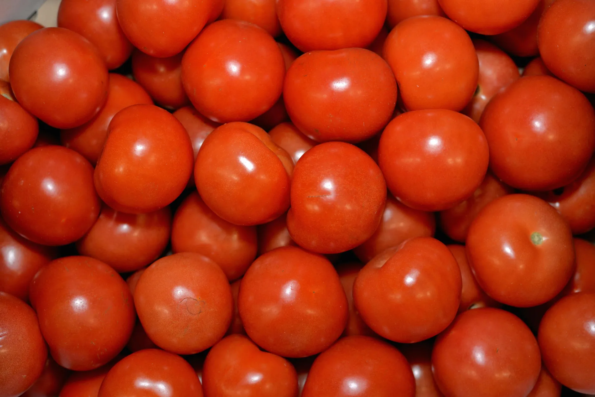 A pile of fresh red tomatoes in an overhead shot, perfect for food and culinary themes.