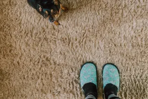 Person Standing Near Black Dog on Rug