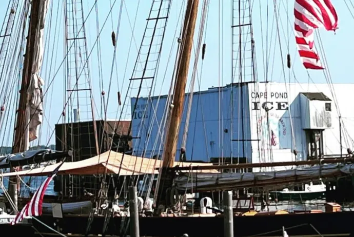 White Sailing Boats on Body of Water