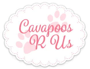 Cavapoos R Us