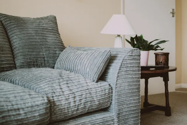 A chic living room featuring a plush blue sofa, indoor plant, and stylish decor elements.