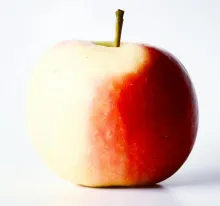 Close-up of a fresh red and white apple on a neutral background, showcasing its vibrant color and texture.