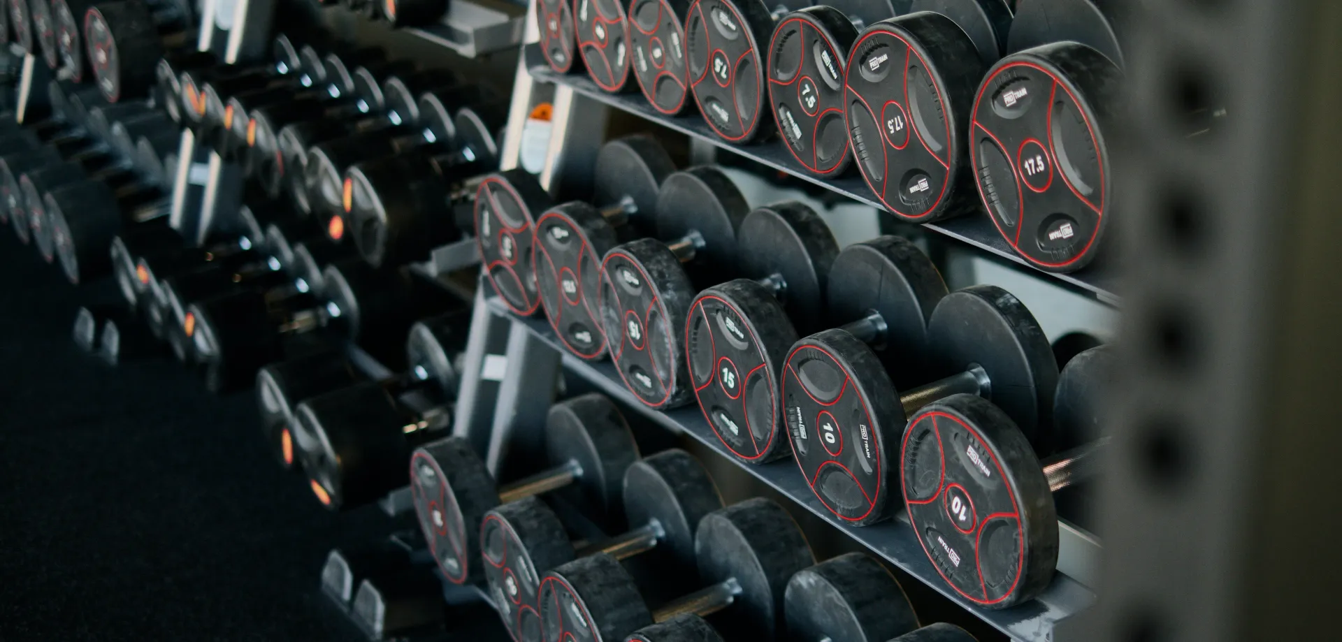 Black and Red Dumbbells