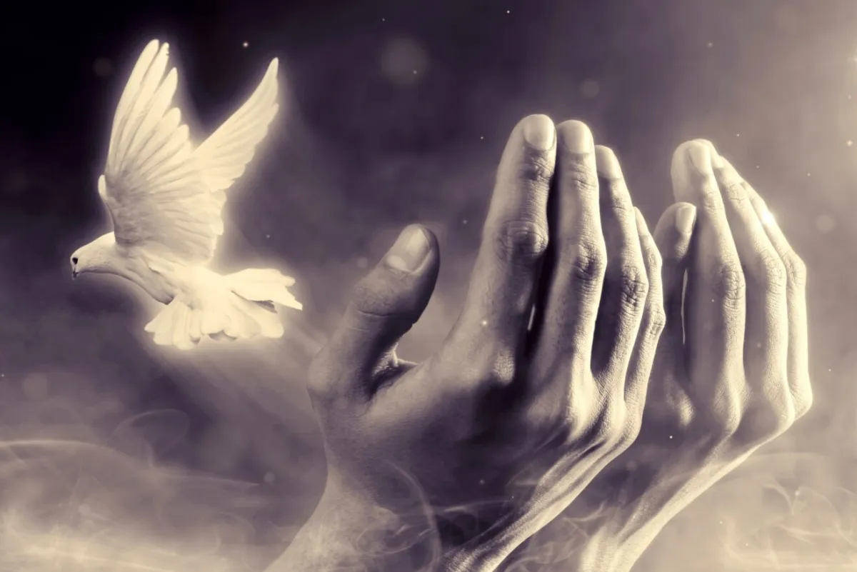 In His Presence Apostolic Ministry cover