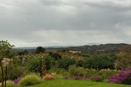 A scenic valley with pink flowers in foreground, farm field in the distance, hills and clouds.