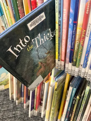 Into the Thicket, picture book, pulled out from a full library shelf to show cover.