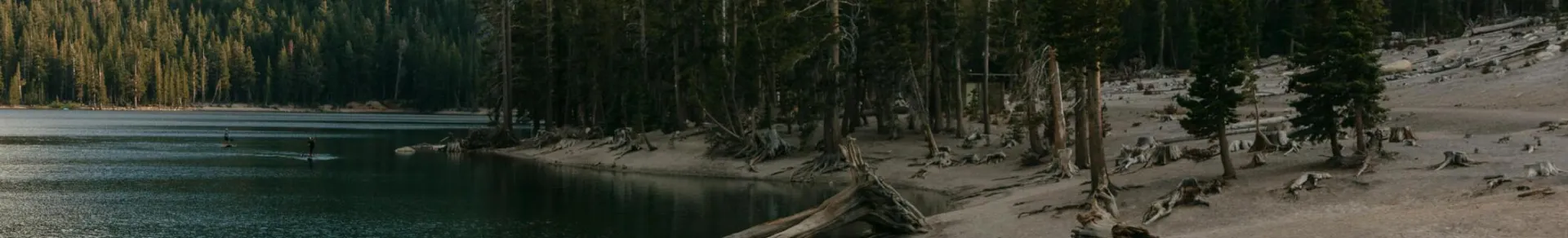 Lake Surrounded by Pine Trees