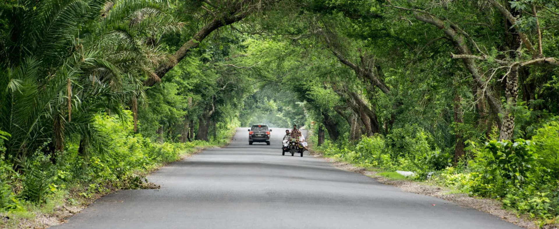 Gray Car in the Middle of Highway Near Green Trees