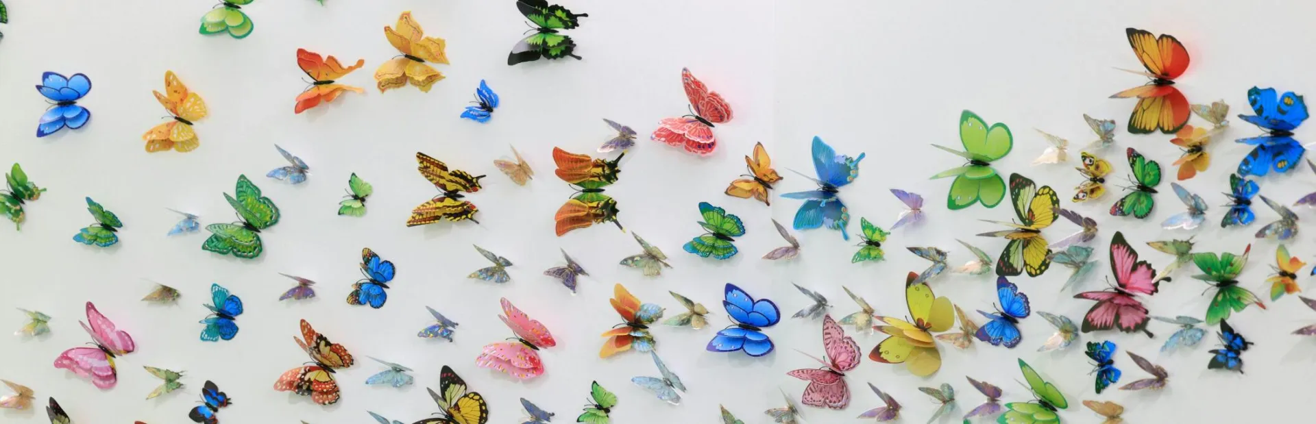 Vibrant collection of artificial butterflies arranged on a wall creating a stunning art installation.