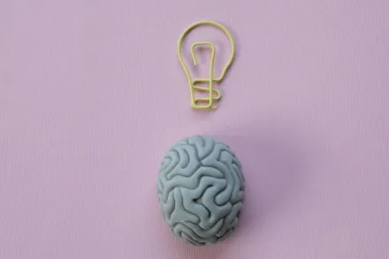 Paperclip in a Shape of a Light Bulb and a Rubber Eraser in a Shape of a Brain