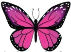 Pink Butterfly Press