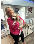 best therapy dog for an orthodontist