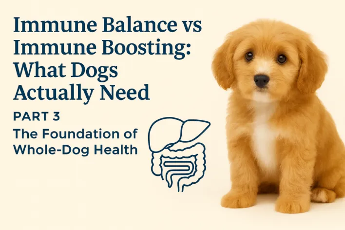 Do dogs need immune balance or immune boosting