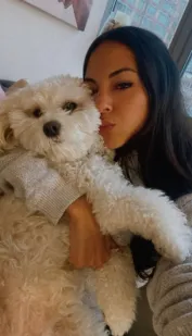 Cavachon puppy enjoying life in New York City