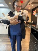 orthodontist therapy dog