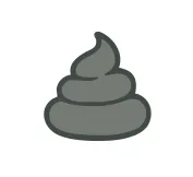 Gray dog poop meaning