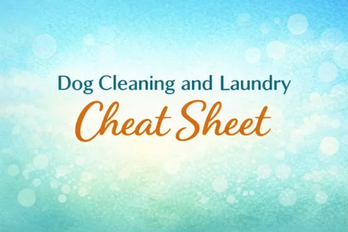 dog cleaning and laundry sheet