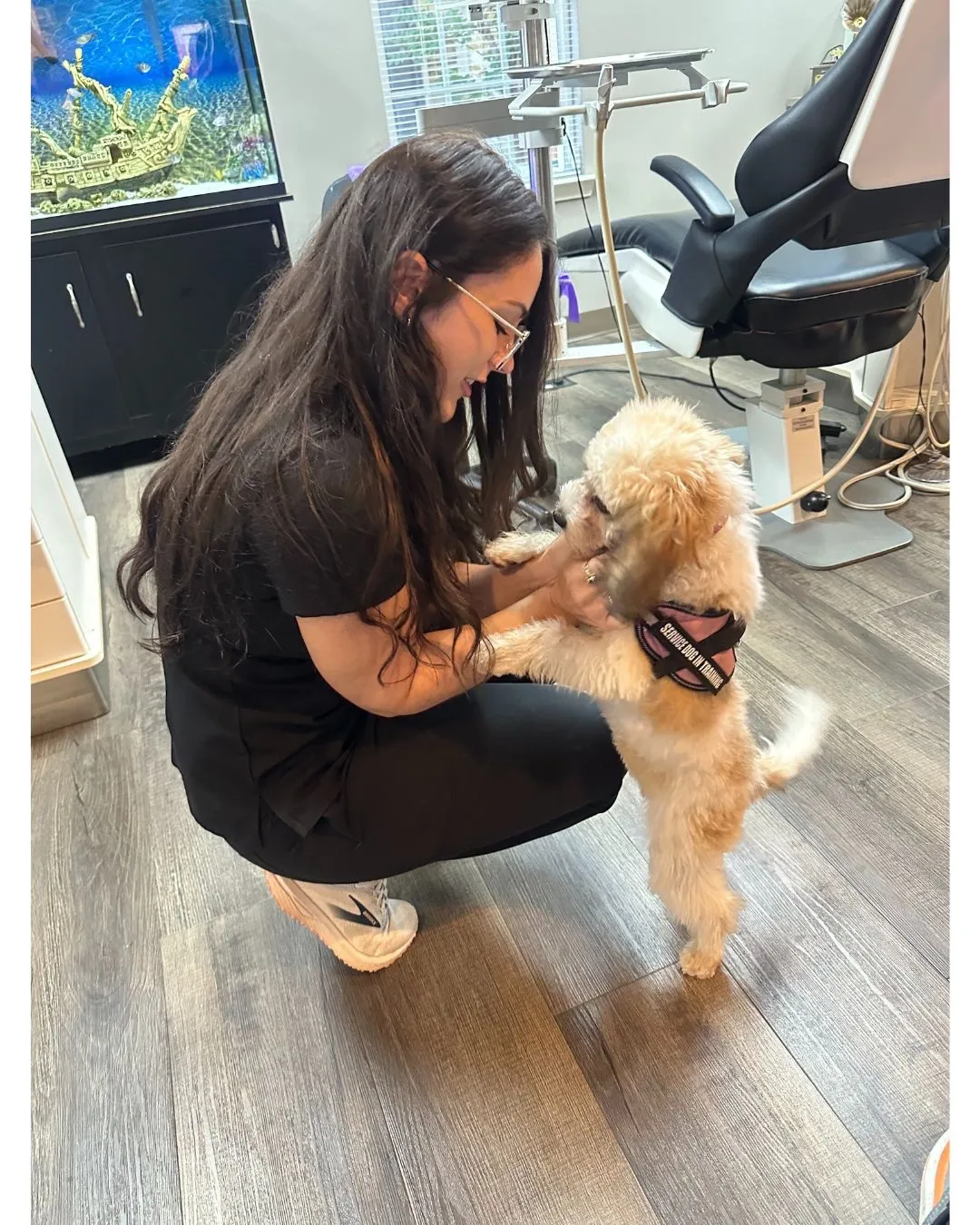 can cavacon be a therapy dog