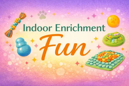 indoor dog enrichment activities