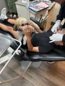therapy dog for orthodontist office