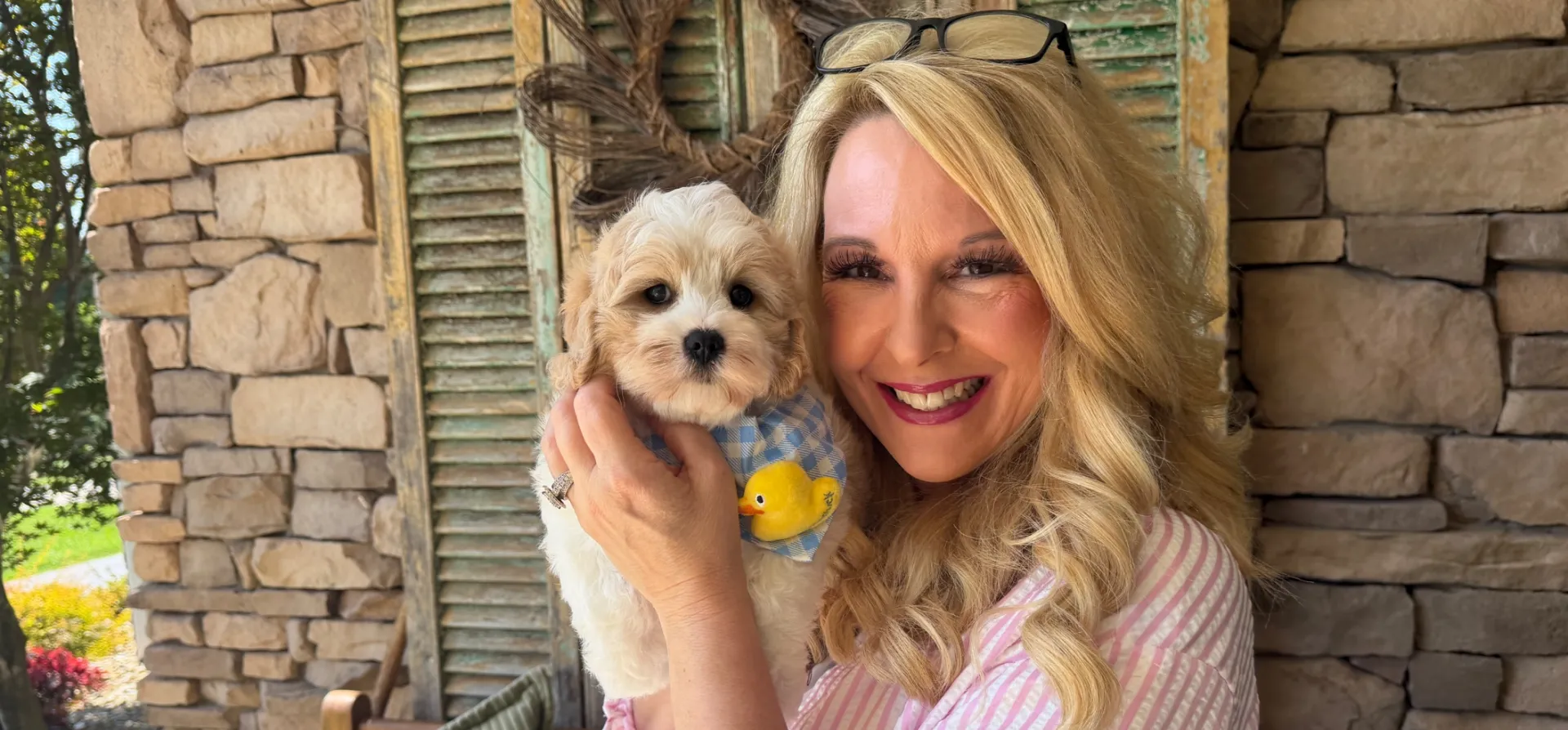 cavachon puppy with halo eyes