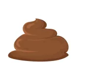 Healthy dog poop color