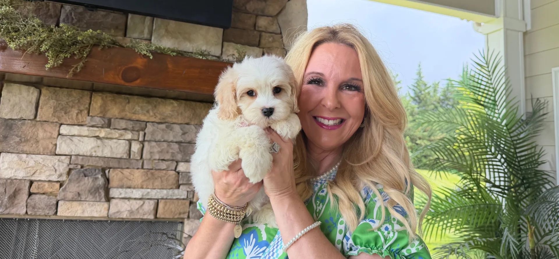 friendly cavachon puppy for sale