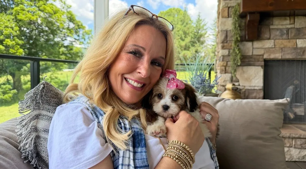 cavachon puppy for adoption