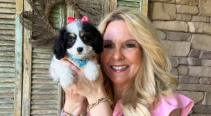 gentle cavachon puppy with soft eyes
