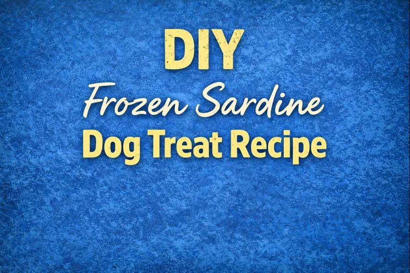 DIY sardine dog treats