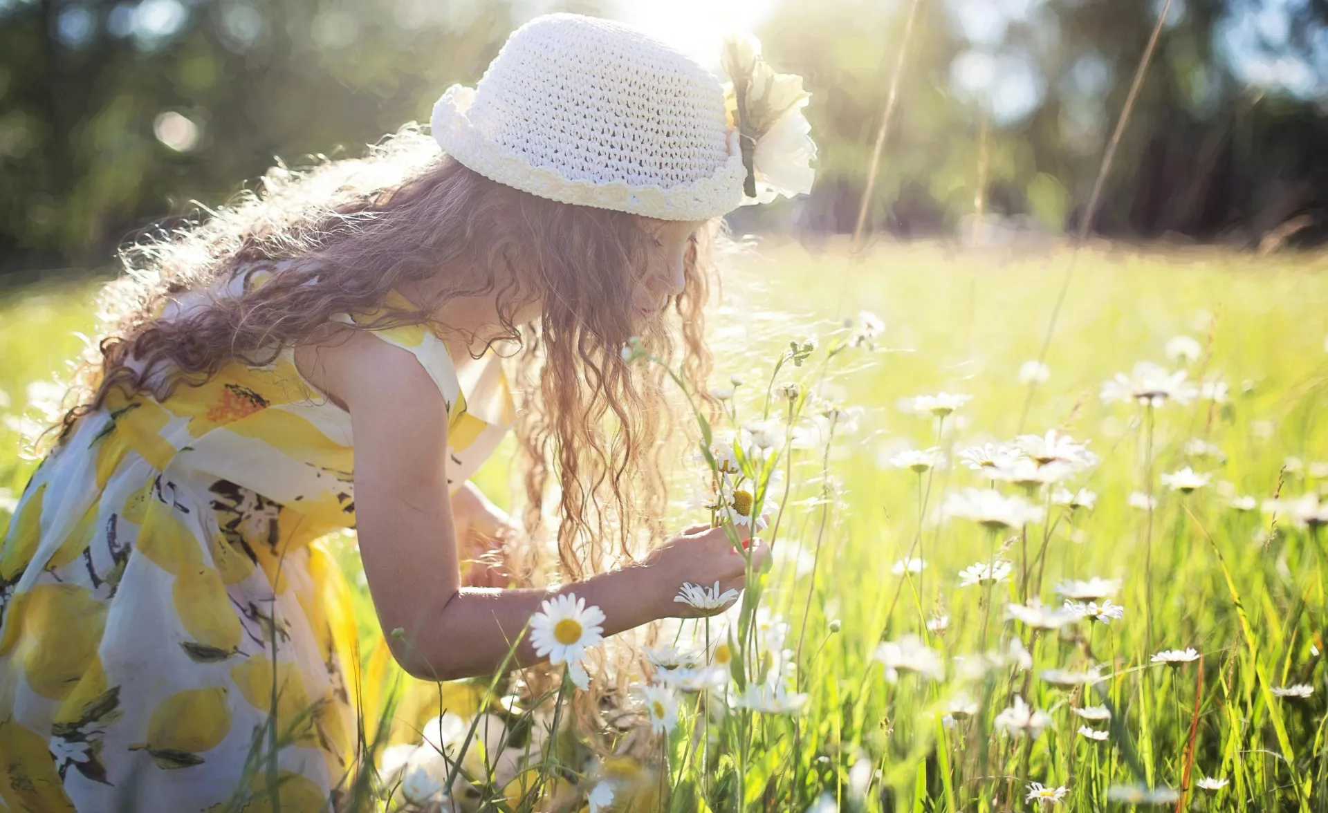 Little girl enjoys picking flowers in a sunlit meadow, embodying pure joy and innocence.
