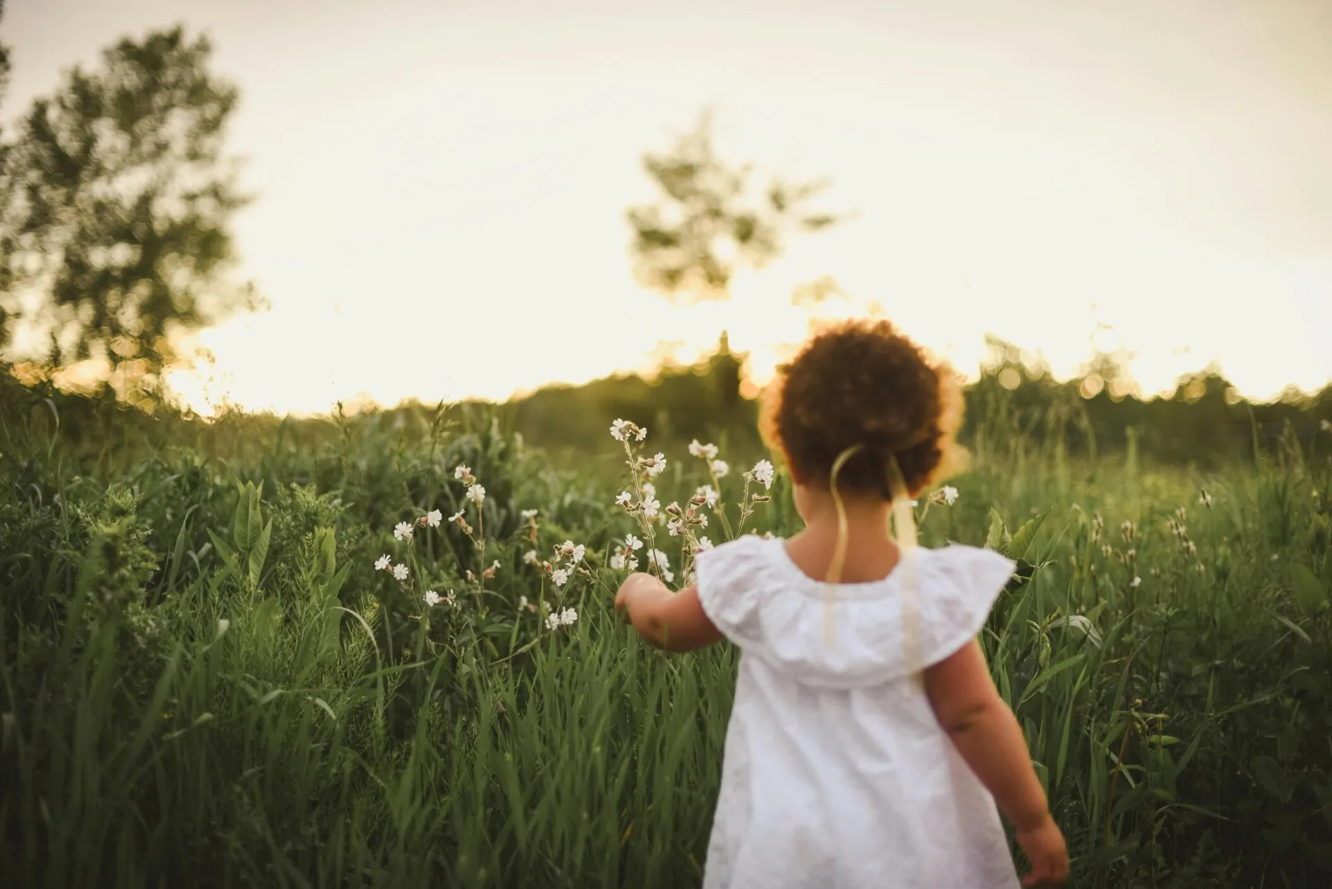 Young girl in a white dress exploring a sunlit summer field with wildflowers.