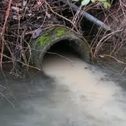 Sewer