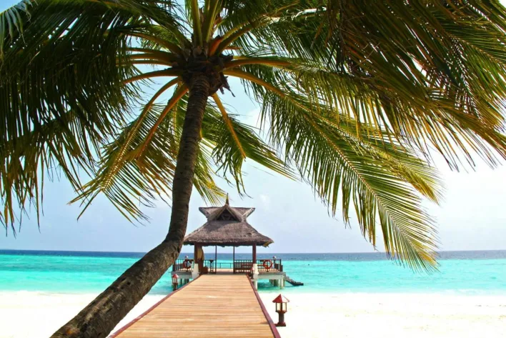 Scenic tropical island pier with palm trees and turquoise sea under clear blue skies.