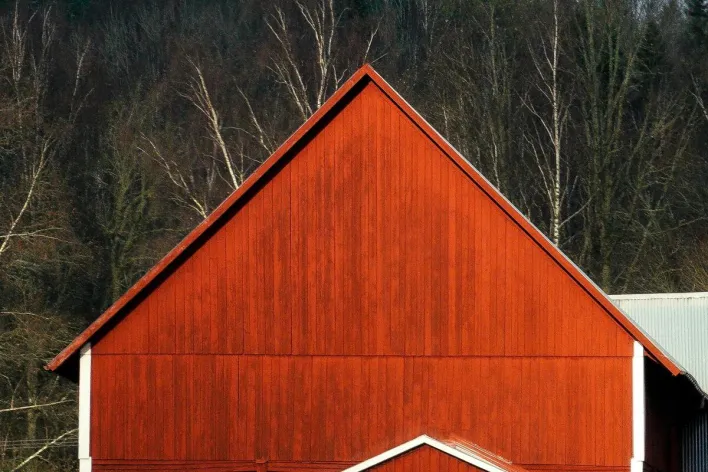 A vibrant red barn standing against a backdrop of leafless trees in a peaceful rural landscape.