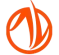 AVIIS LLC