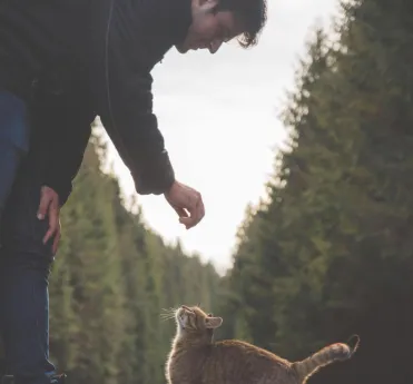 A man bends down to interact with a curious tabby cat on a serene forest road.