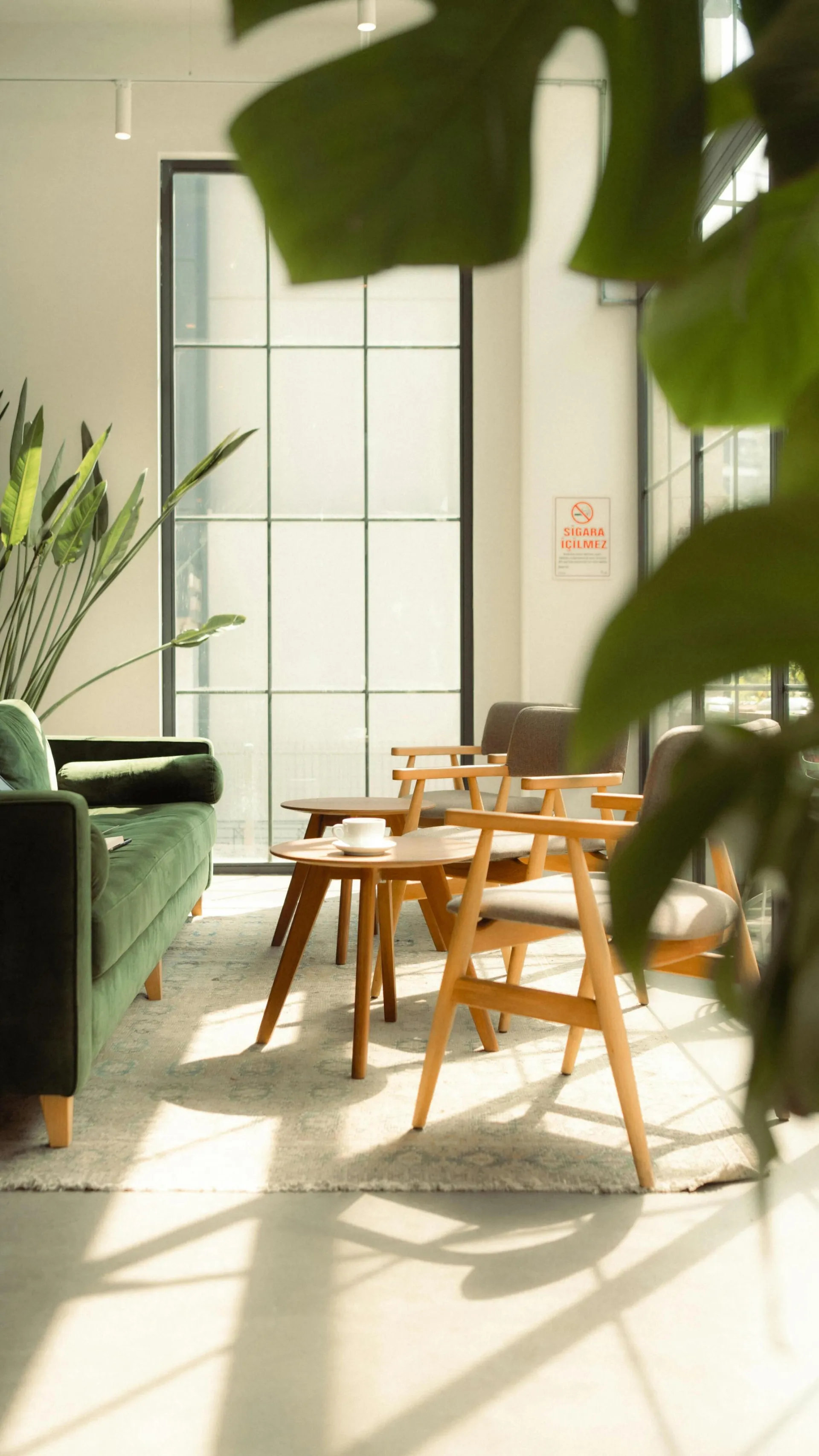 Sunlit modern interior design with green couch and wooden chairs in Istanbul.