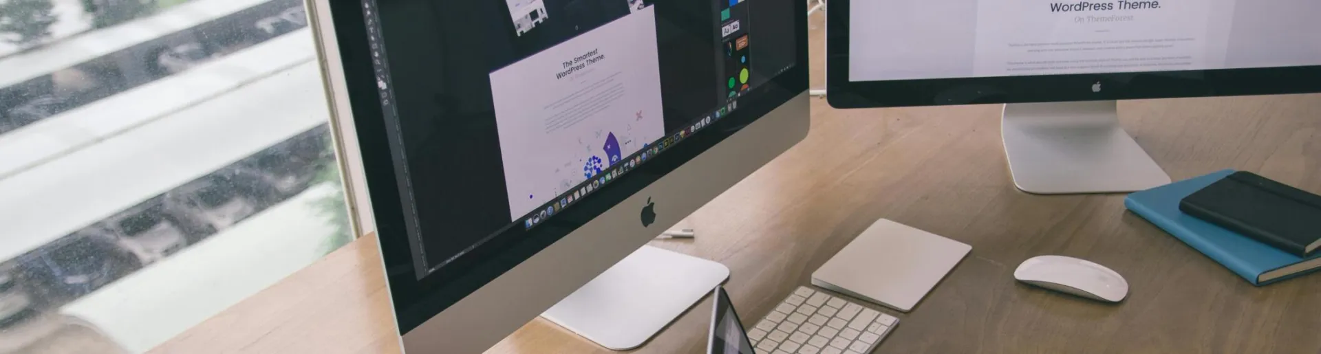 Sleek office desk setup featuring Apple computers and greenery for a modern work environment.