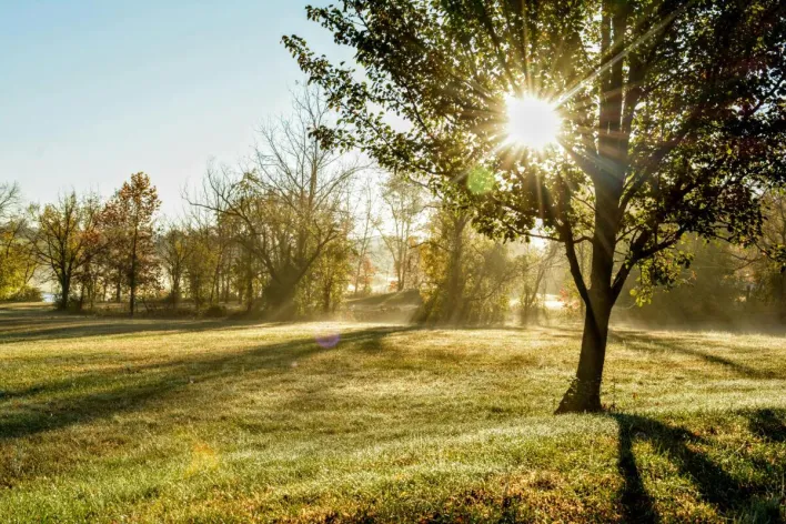 Serene autumn sunrise over dewy meadow in Akron, Pennsylvania, with sunbeams filtering through trees.