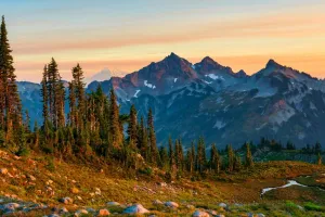 Scenic view of Cascade Mountain Range at sunrise with lush green pine trees and clear sky.