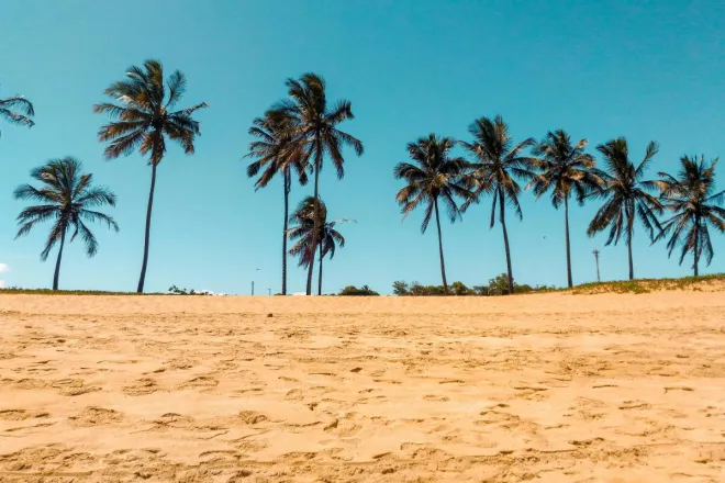 Serene tropical beach with coconut palms under a clear blue sky in Brazil.