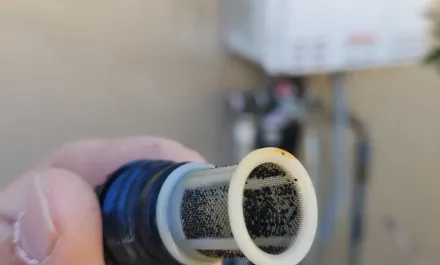 Dirty inline filter being held. Tankless heater blurred in background.