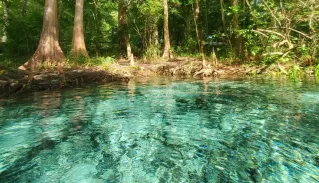 Clear blue spring water near St. Augustine, Florida
