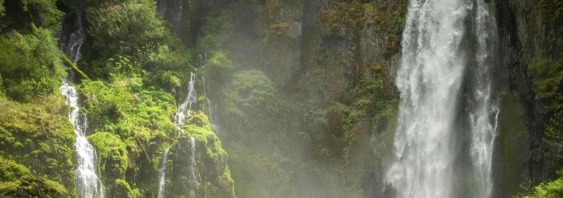 A stunning waterfall cascades through a mossy forest in Washington, capturing nature's serene beauty.