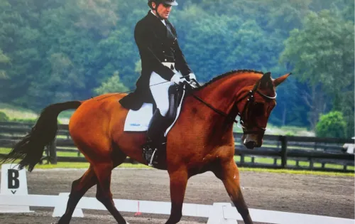 A powerful horse galloping freely through a sunlit green field, exuding strength.