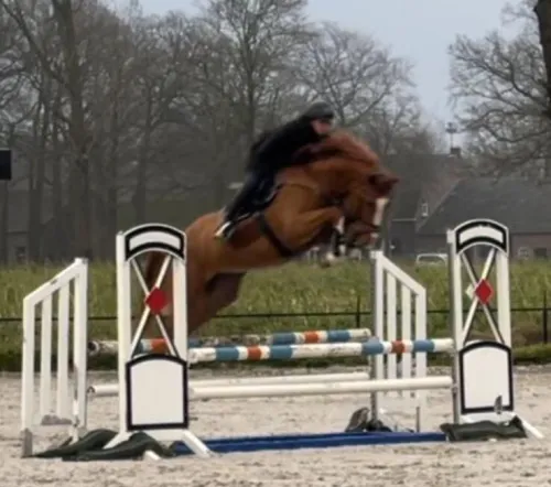 A woman jockey skillfully jumps with her horse in an outdoor equestrian competition.