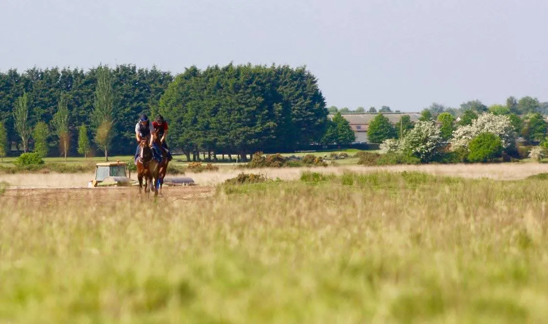 Horse and rider clearing an oxer jump in a competitive show jumping event outdoors.