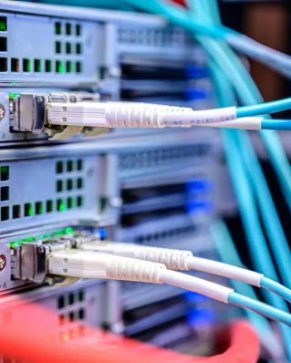 Detailed shot of Ethernet cables connected to server ports highlighting technology infrastructure.